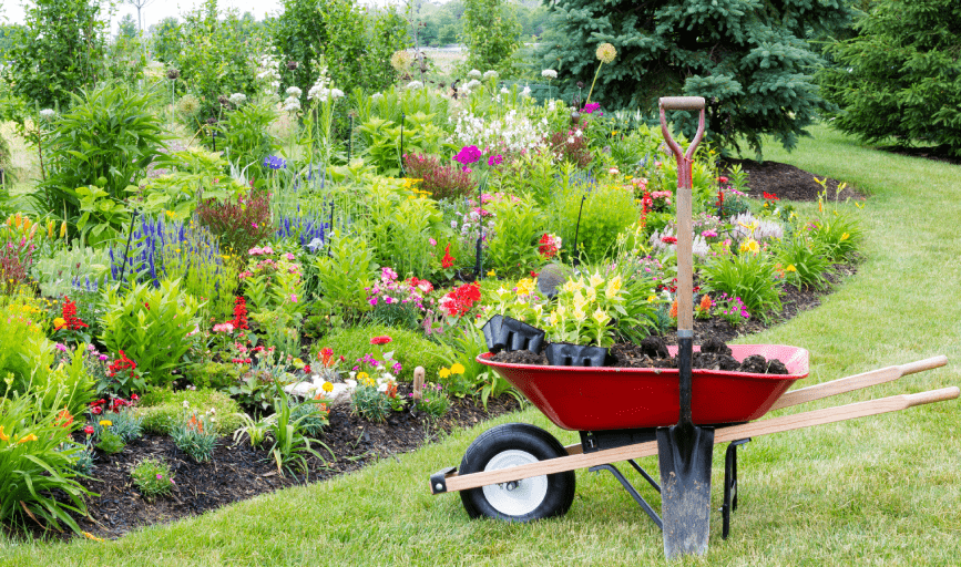 LANDSCAPING